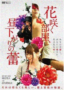 我的解放日记 日韩电影电视剧大全在线观看
